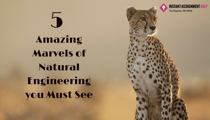 Natural Engineering
